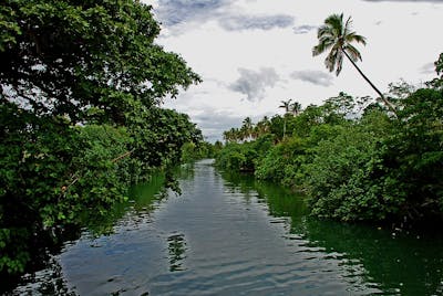 Vanuatu Islands (AU11)