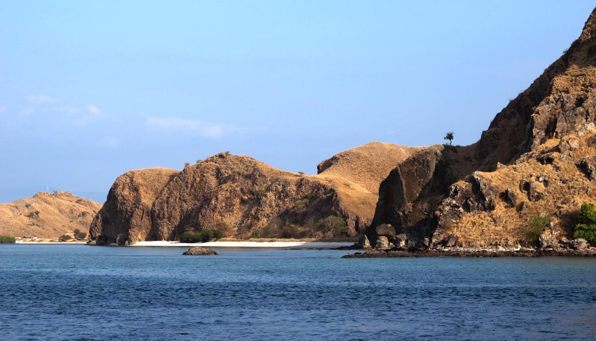 Southeast Indonesian Dry Forest Islands (AU15)