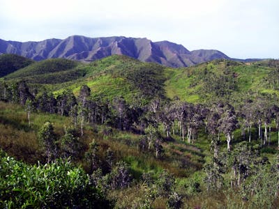 Coral Sea & New Caledonia Islands (AU10)