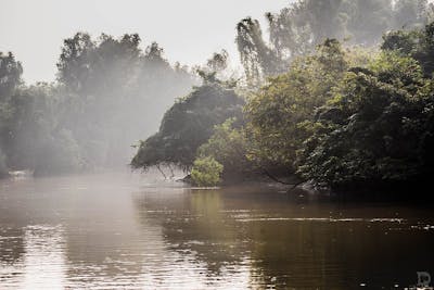Northern Deccan & Odisha Tropical Forests (IM7)