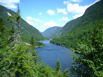 Northern Great Lakes Forests (NA11)