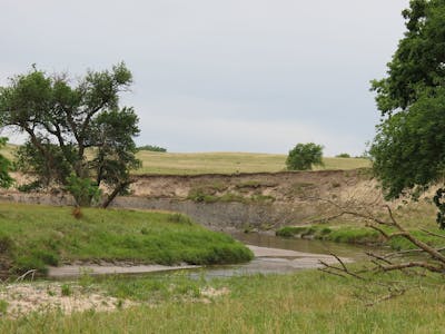 Southern Prairie Mixed Grasslands (NA20)