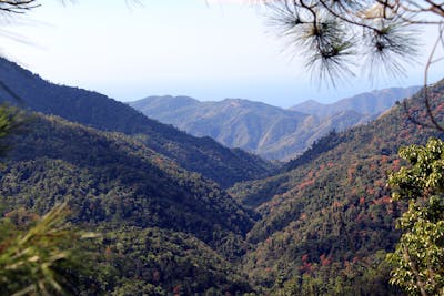 Caribbean Islands (NT26)