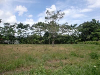 Llanos & Dry Forests (NT22)