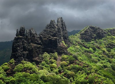 Marquesas Tropical Islands (OC2)