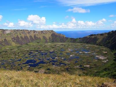 Salas y Gómez & Easter Islands (OC1)