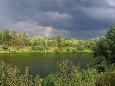 European Interior Mixed Forests (PA12)