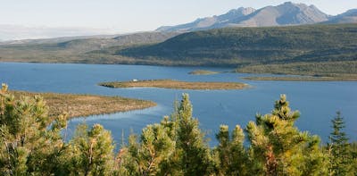 Siberian Boreal Forests & Mountain Tundra (PA7)