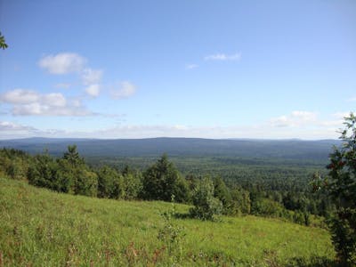 Ural Mountains & West Eurasian Taiga Forests (PA8)