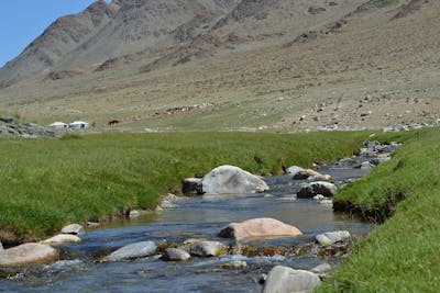 Altai Mountains & Ermin Valley (PA37)