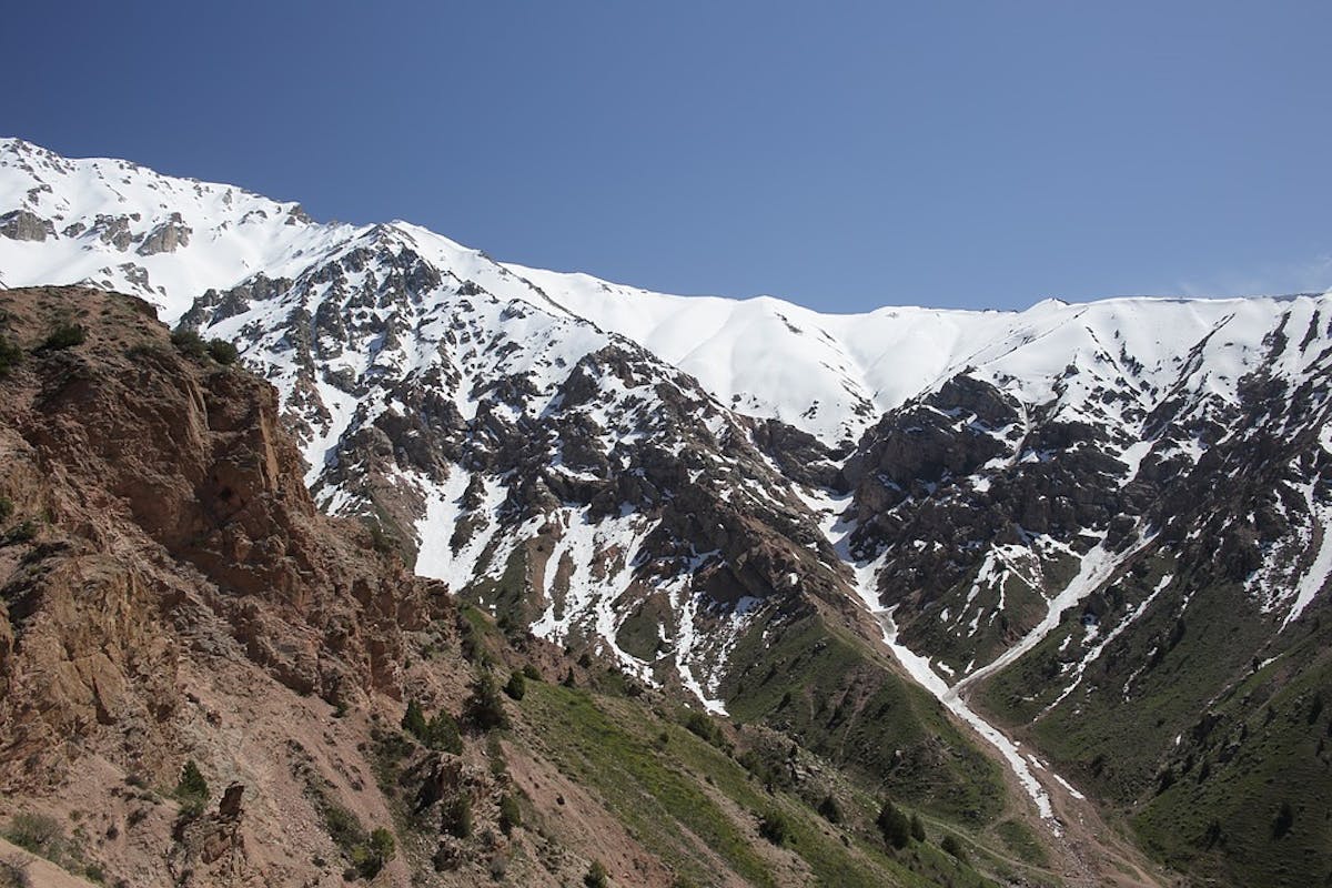 Tian Shan-Pamir Grasslands, Mountain Steppe & Conifer Forests (PA31)