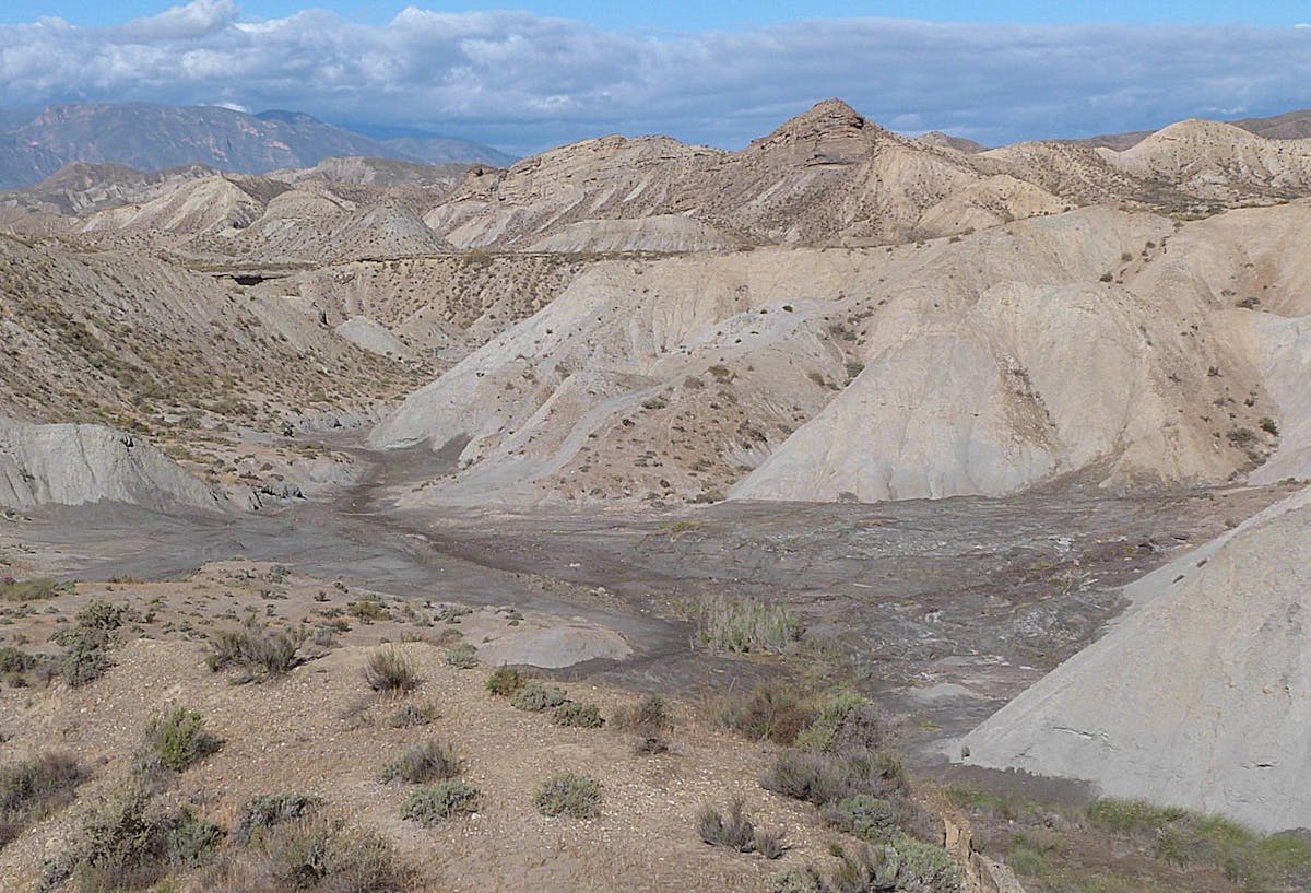 Balearic Sea & West Mediterranean Mixed Forests (PA20)