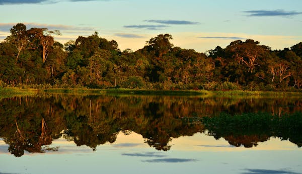 Ecuador's Yasuní oil referendum: A climate game-changer