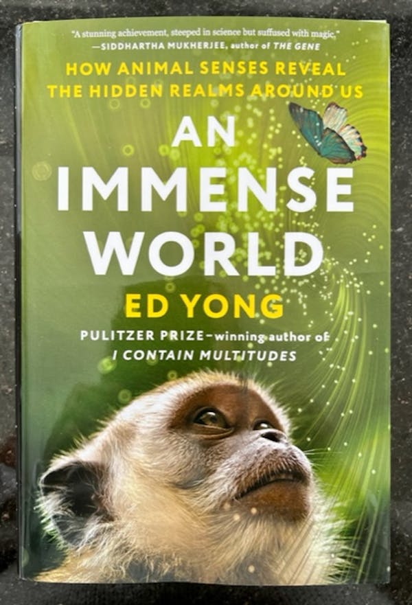 An Immense World: How Animal Senses Reveal the Hidden Realms Around Us