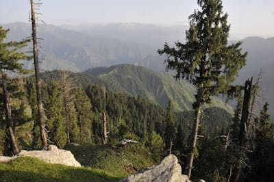 Afghan-Balochistan Drylands, Mountain Meadows & Conifer Forests (PA30)
