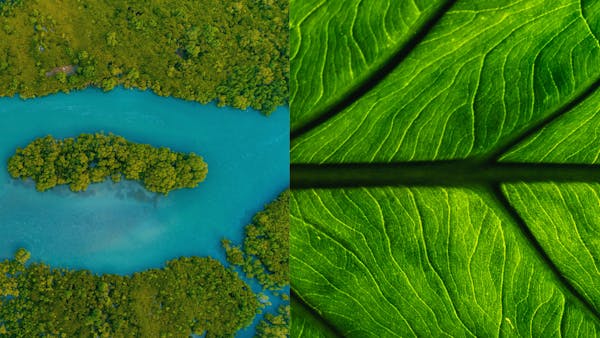 Learning from place: Nature tools to power local climate solutions