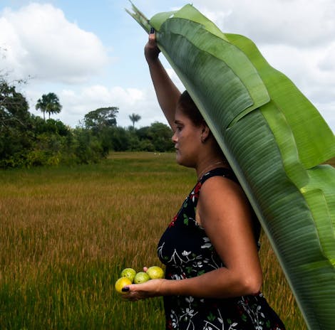 Protecting the Amazon Biodiversity Through ‘Mothers of the Mangrove’