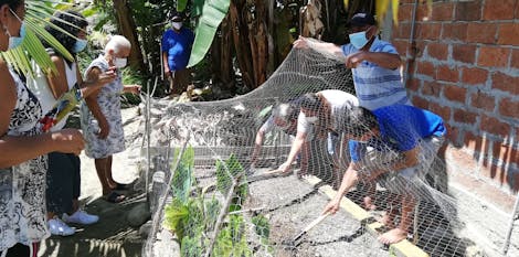Restoring Mangrove Forests and Indigenous Livelihoods in the Coastal Regions of Ecuador