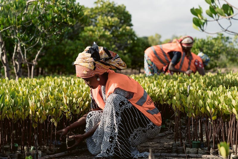 Munje Tunusuru Women's Group. Image Credit: Image Credit: CORDIOEA.