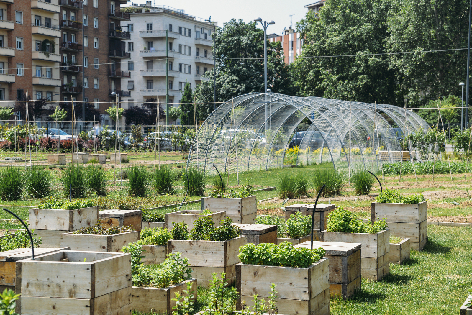 Urban farm. Image Credit: © Brasilnut | Dreamstime.com. Urban farm. Image Credit: © Brasilnut | Dreamstime.com.