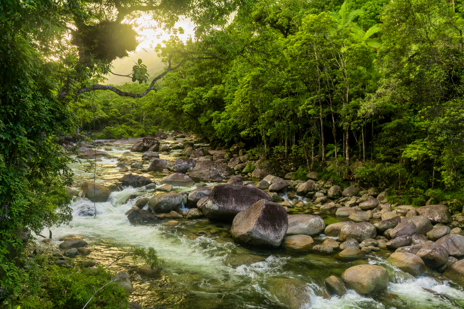 Mossman Gorge, a river in Daintree National Park, north Queensland, Australia. Image Credit: © Martin Valigursky | Dreamstime.com.