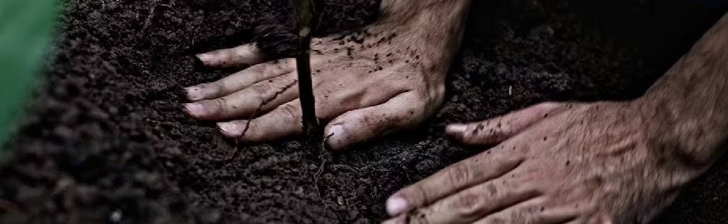 Ecosystem Restoration