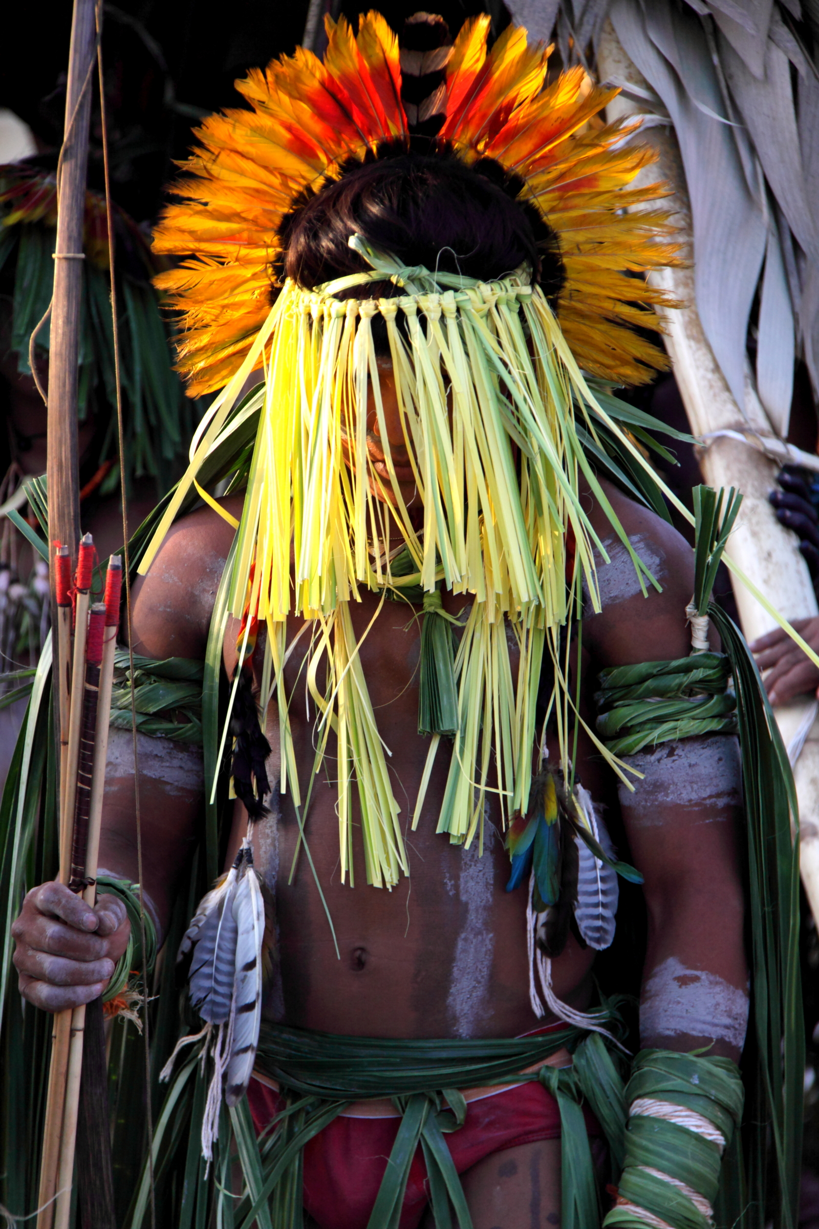 A member of the Enawenê Nawê displaying vibrant featherwork headdress. Image Credit: Yves Picq. Wiki Commons.