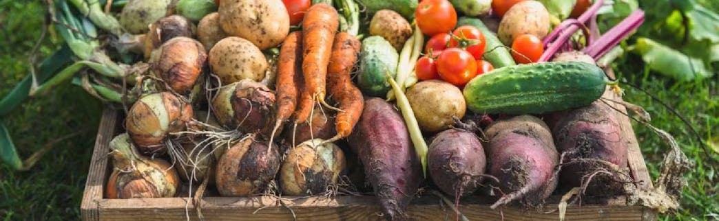 Food Waste Reduction