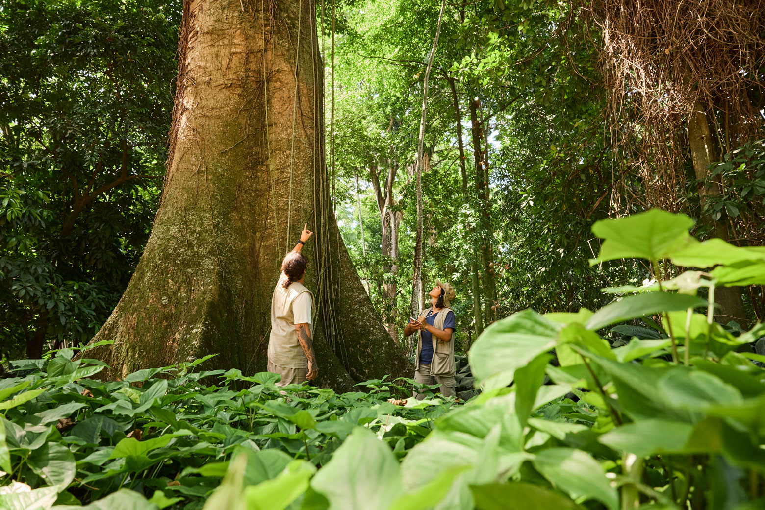 One Earth Three Pillars