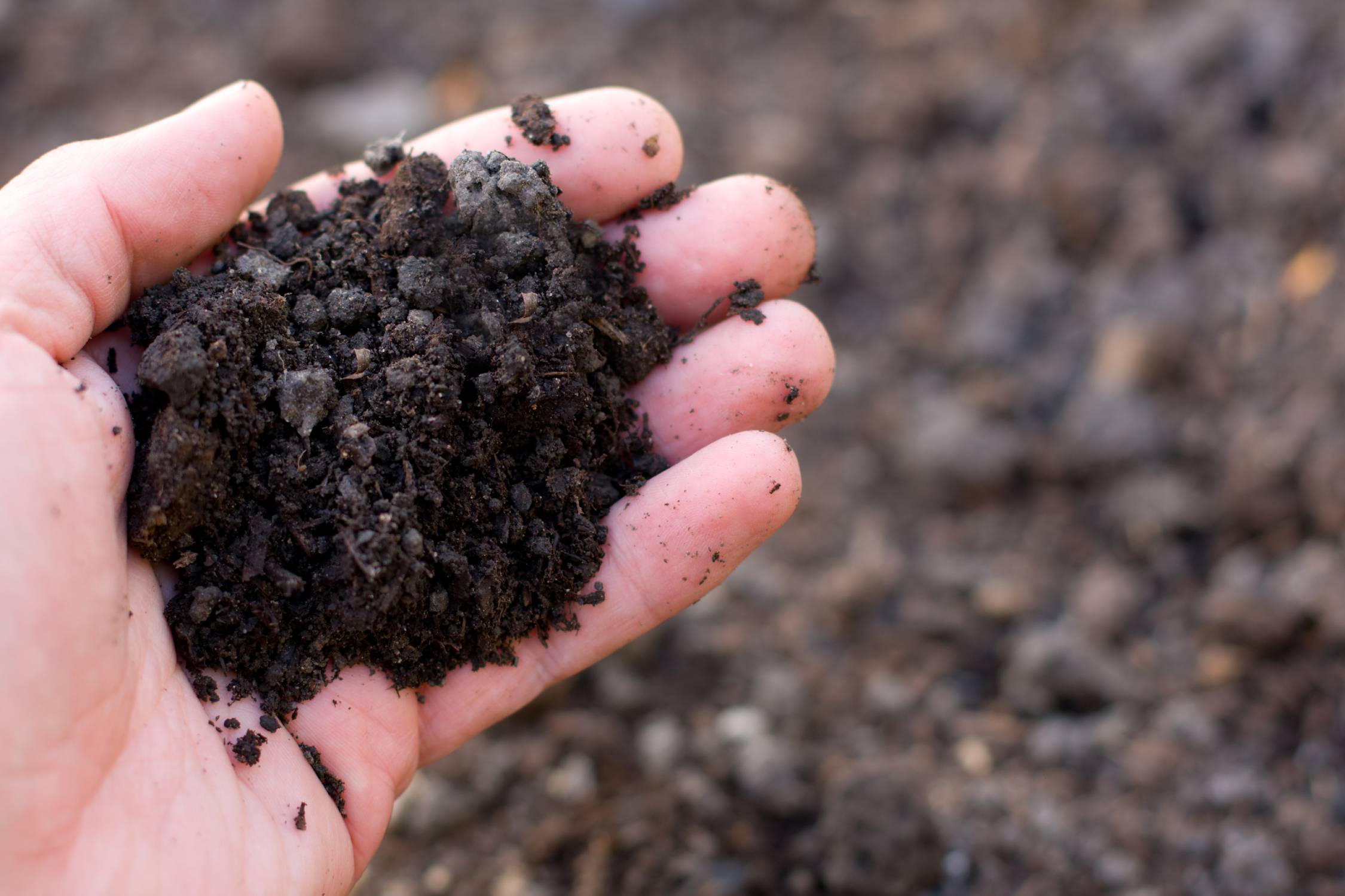 Handful of rich black soil. Photo ID 14606936 © Brad Calkins | Dreamstime.com Handful of rich black soil. Photo ID 14606936 © Brad Calkins | Dreamstime.com