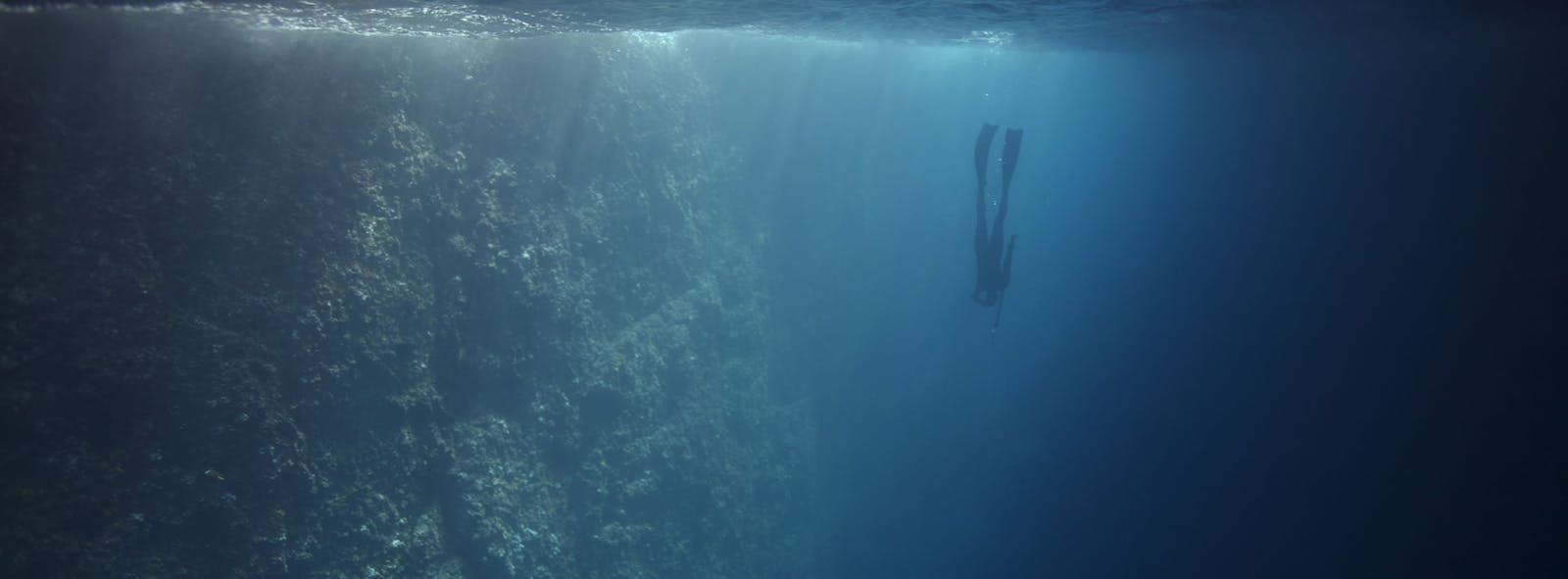 Fundación Malpelo y Otros Ecosistemas Marinos