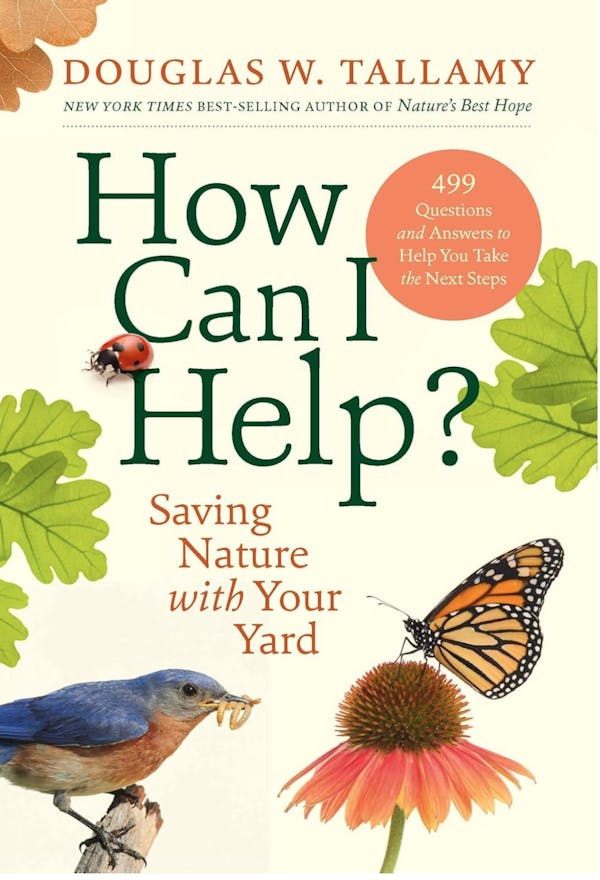 How Can I Help? Saving Nature With Your Yard
