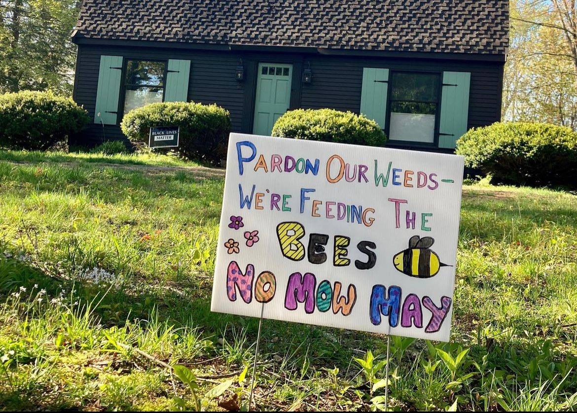 Pardon Our Weeds - We're Feeding The Bees sign Pardon Our Weeds - We're Feeding The Bees sign for No Mow May.