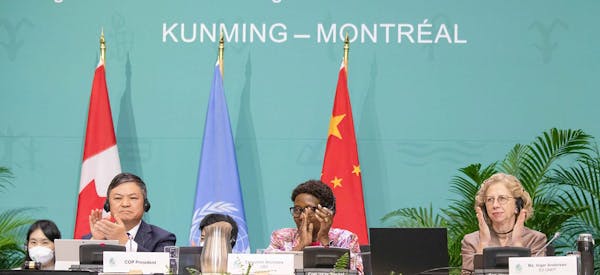 In Montreal, the world’s governments agree to a sweeping agreement to protect, conserve, and restore nature