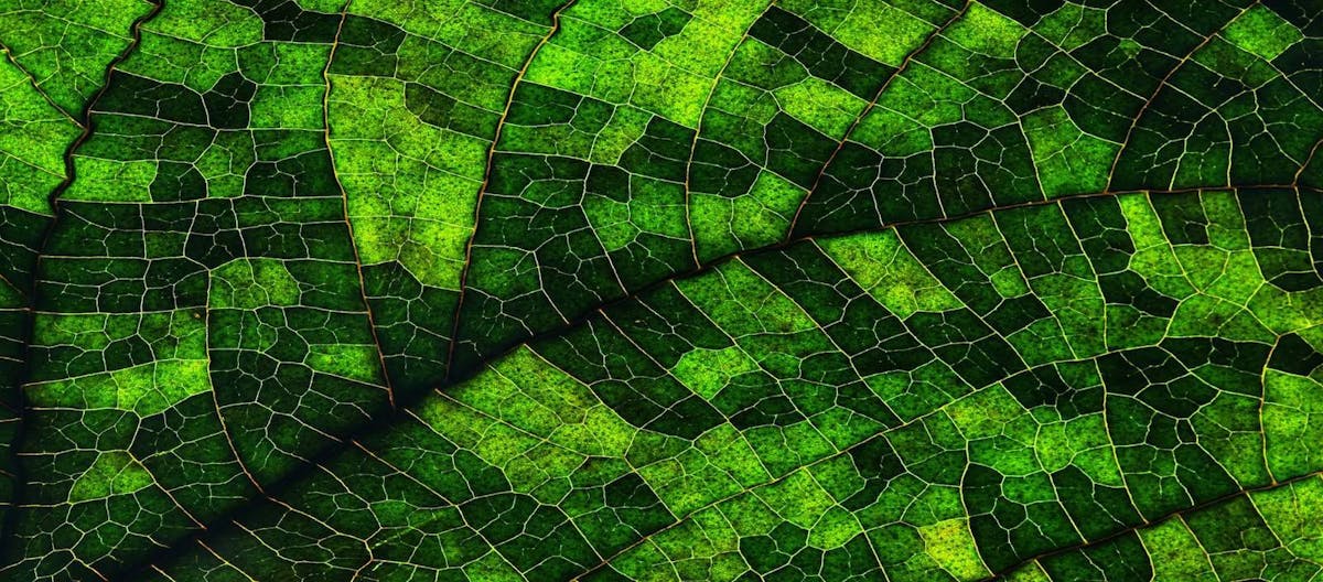 One Earth Solutions Framework