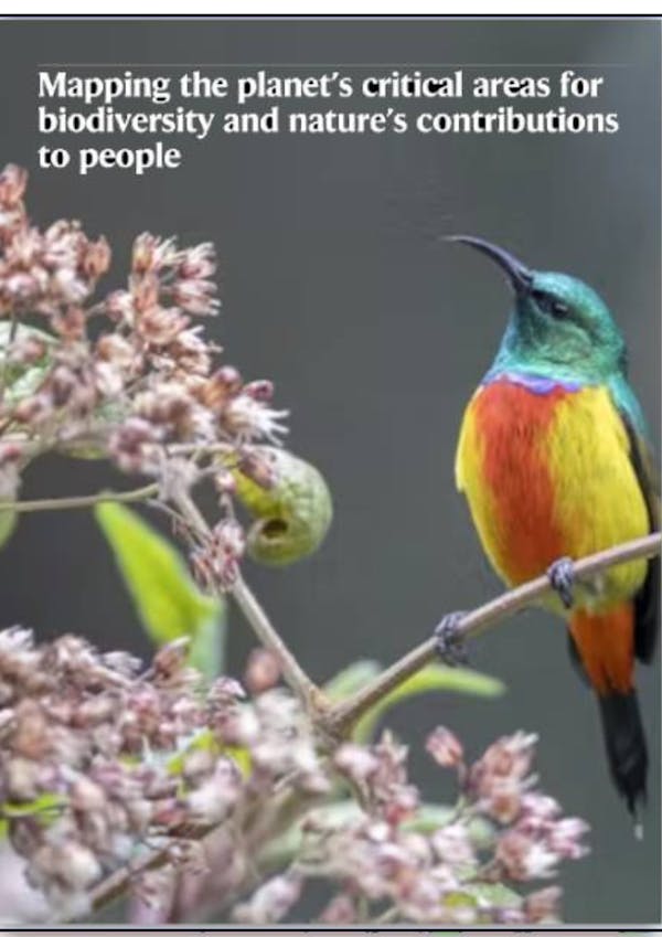 Mapping the planet’s critical areas for biodiversity and nature’s contributions to people