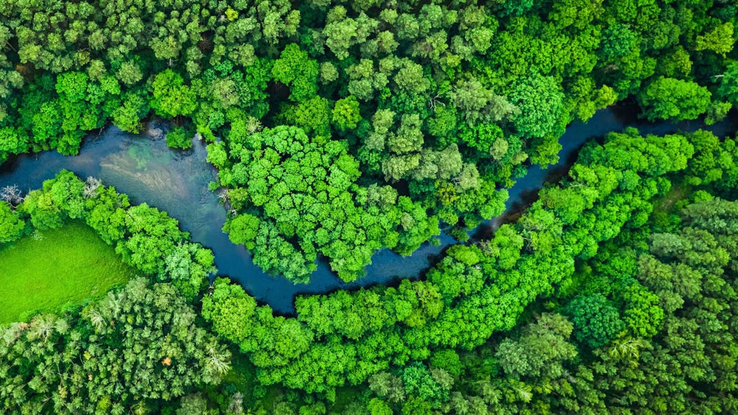 River and green forest in Tuchola Forest Natural Park, Poland. Image credit Shalith | iStock 1176297080