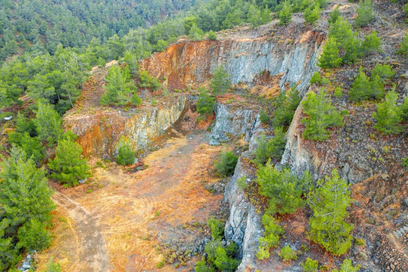 Reforestation of former copper mining area.