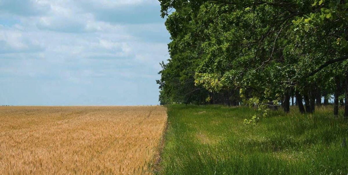 Regenerative Agriculture