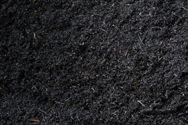 Sustainable Biochar