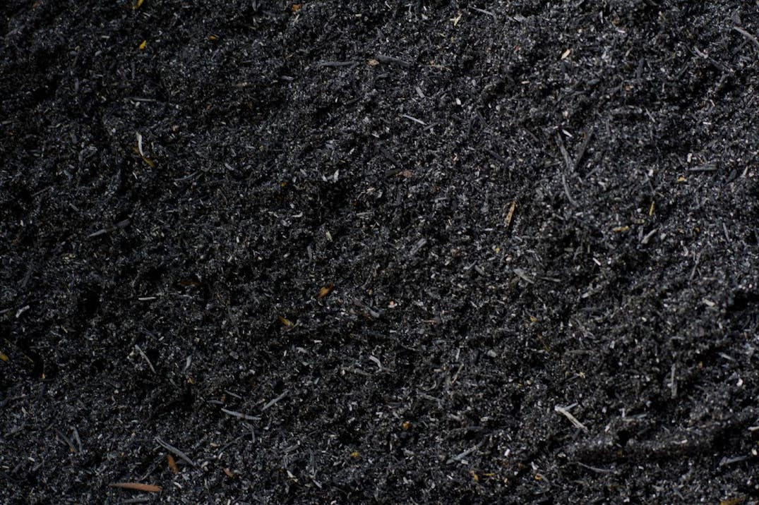 Sustainable Biochar