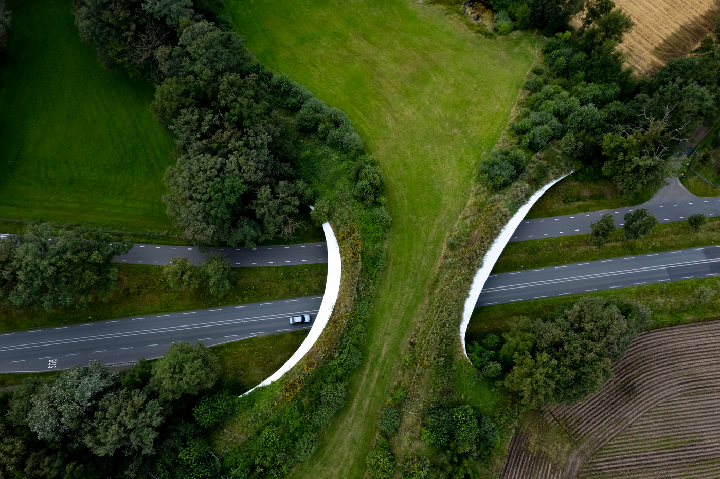 Wildlife Connectivity