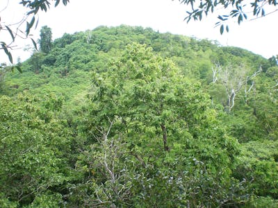 Samoa & West Polynesian Tropical Islands (OC5)