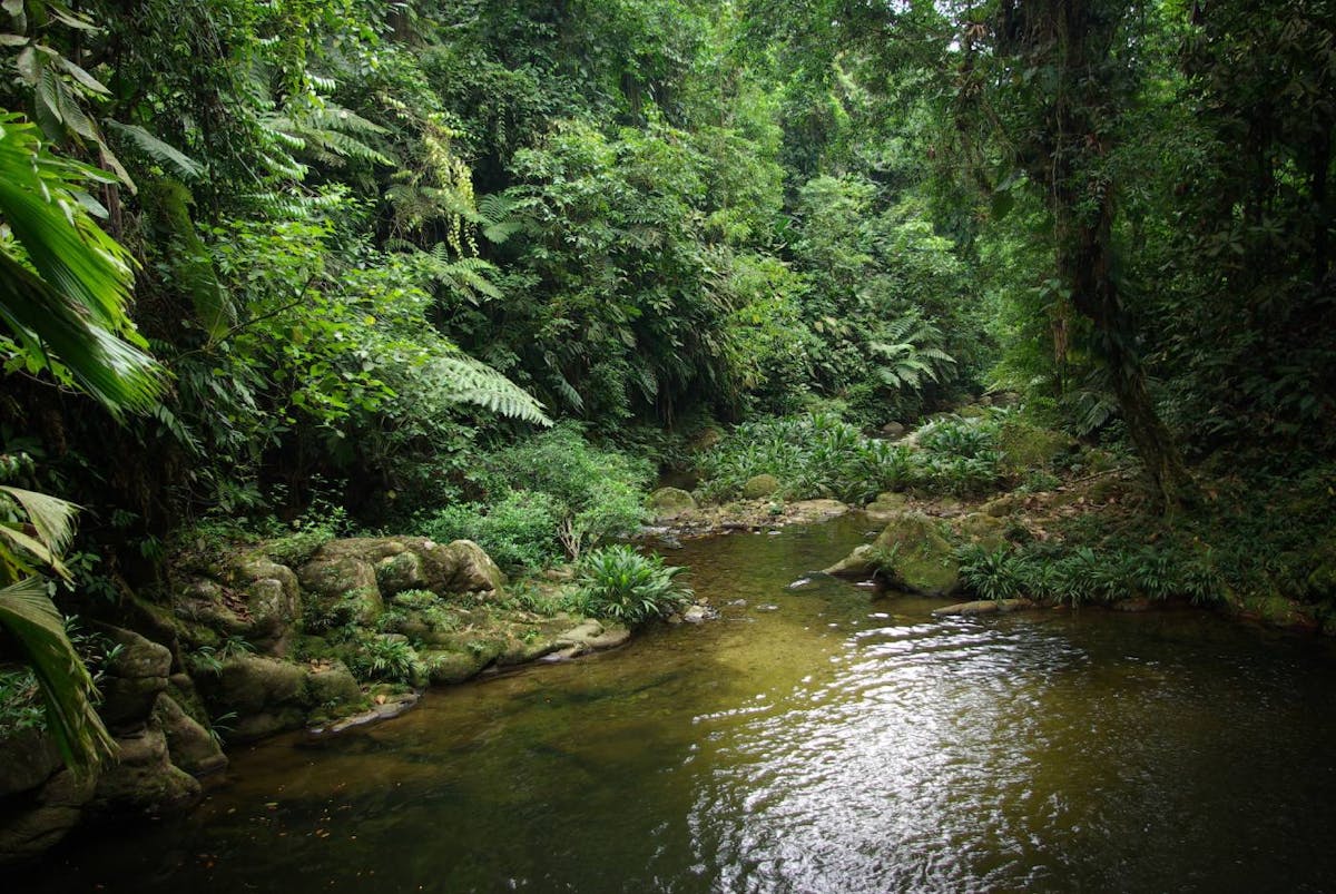 Venezuelan Coast (NT23)