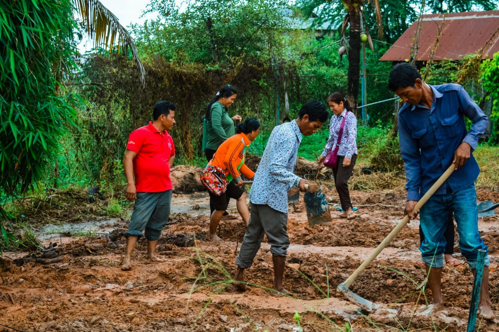 Victory Gardens - The Face To Face Project
