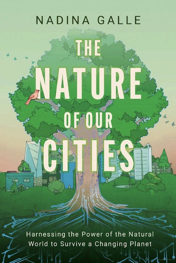 THE NATURE OF OUR CITIES