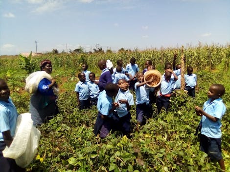 Training a New Generation to Create Resilient Livelihoods Through Permaculture Farming