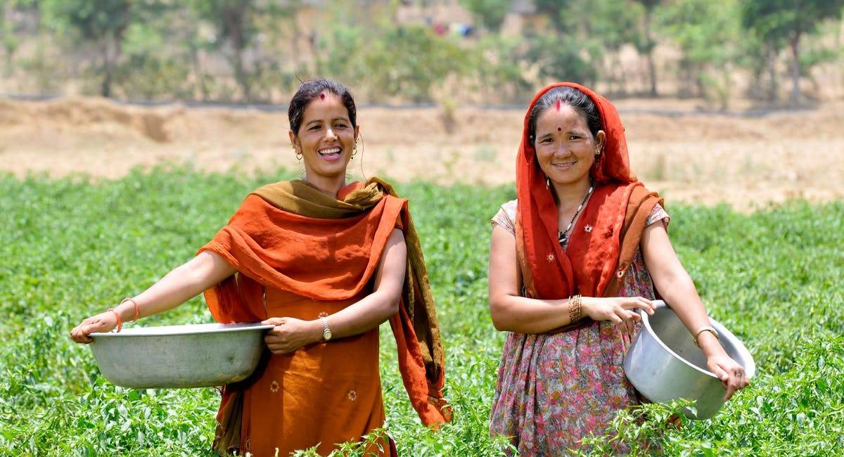Two women farmers in Rupandehi District, Nepal. Image credit: Creative Commons, Neil Palmer