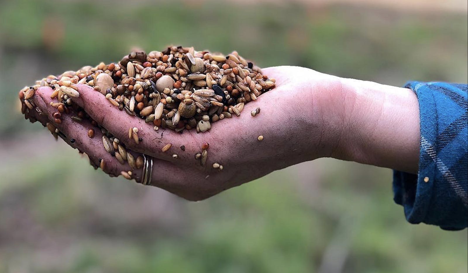 White Buffalo Land Trust