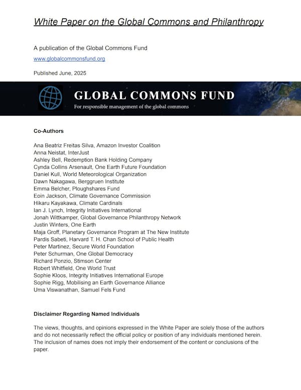 White Paper on the Global Commons and Philanthropy